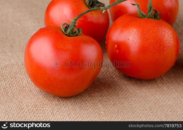 Cherry Tomatoes on the vine over rafia background.