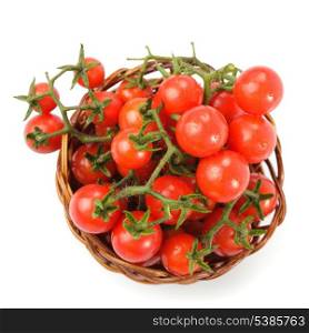 Cherry tomatoes on twig isolated on white background
