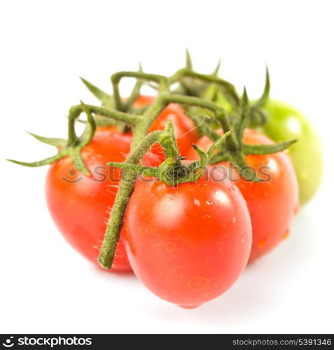 Cherry tomatoes on twig isolated on white background