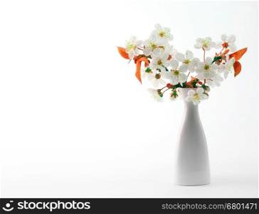 cherry twig branch in bloom in vase