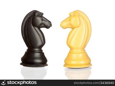 Chess knights isolated on white background with reflection on the floor