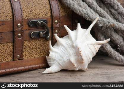 chest and seashell, still life