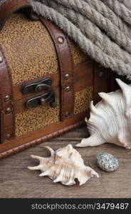 chest and seashell, still life