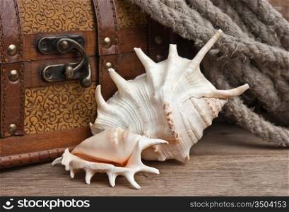 chest and seashell, still life