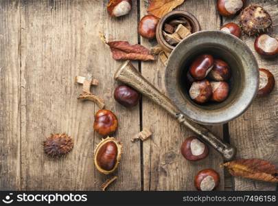 Chestnut and ingredients in homeopathy medicine.Alternative medicine herbal. Chestnut in herbal medicine