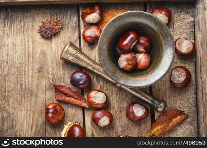 Chestnut and its ingredients in herbal medicine.Ripe chestnuts on old wooden table. Chestnut in herbal medicine