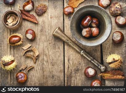 Chestnut and its ingredients in traditional medicine.Herbal medicine.. Chestnut in herbal medicine