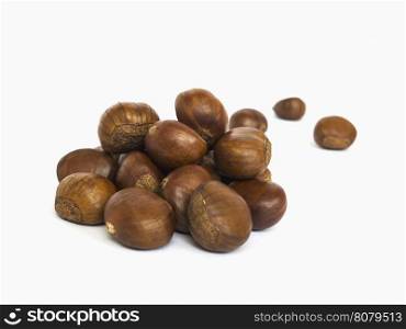 Chestnut isolated over white