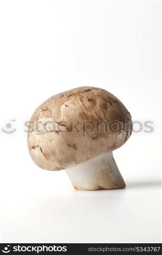 Chestnut mushroom,Agaricus bisporus