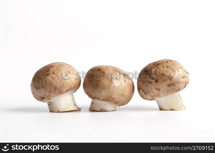 Chestnut mushrooms,Agaricus bisporus