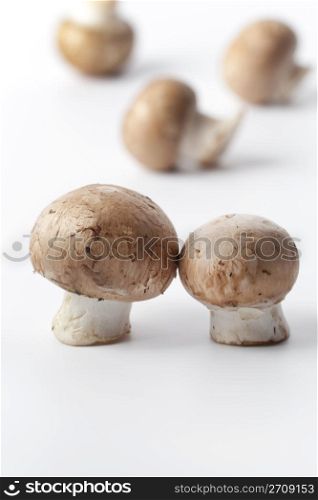 Chestnut mushrooms,Agaricus bisporus