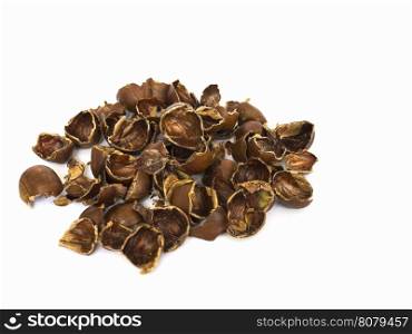 Chestnut peel, a traditional herb ingredient, isolated over white