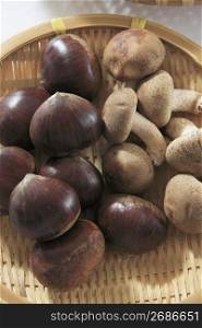 Chestnuts and shiitake mushroom