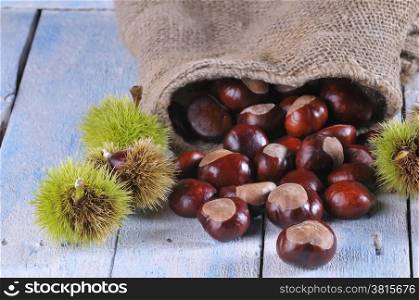 Chestnuts on wooden table in the kitchen.