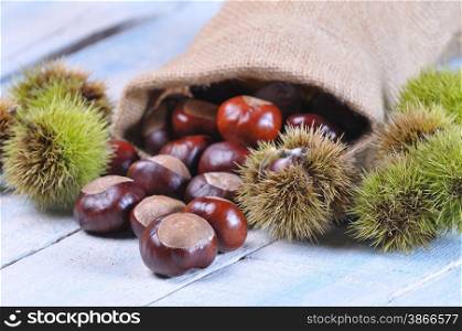 Chestnuts on wooden table in the kitchen.