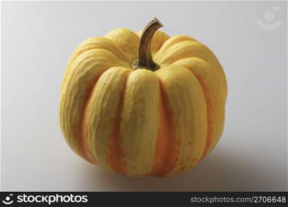 Chestnuts pumpkin
