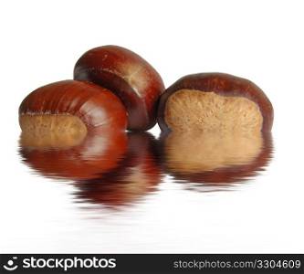 chestnuts reflected on water