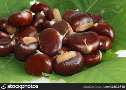 Chestnuts with leaves