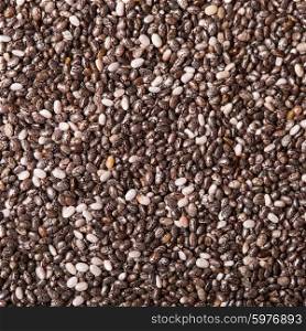 chia seeds close up as a background. chia seeds
