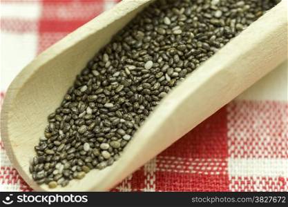 Chia seeds in a wooden spoon - Chia is a plant from Mexico and it is considered very healthy. The seeds contain a high percentage of omega-3 fatty acids, vitamins, antioxidants, proteins and minerals. Chia seeds swell considerably on and are suitable for a variety of dishes.