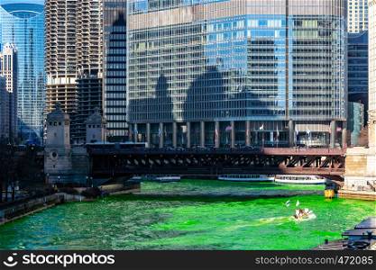 Chicago Skylines building along green dyeing river of Chicago River on St. Patrick's day festival in Chicago Downtown IL USA