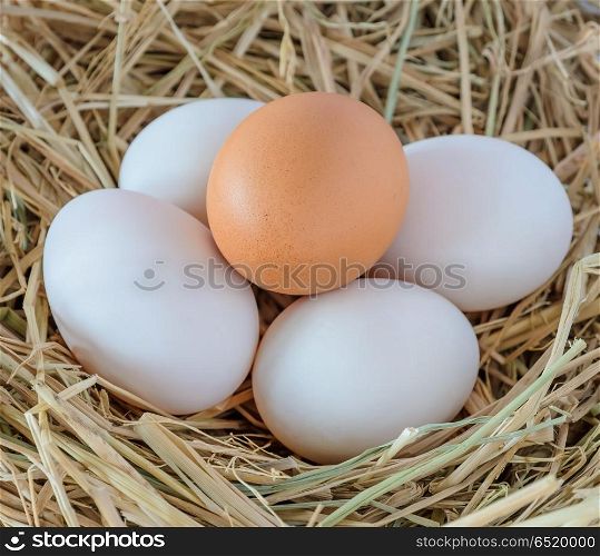 Chicken and duck eggs in the nest