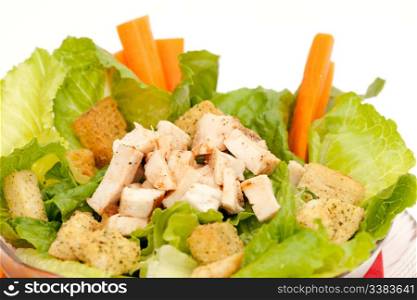 Chicken caeser salad isolated on a white background