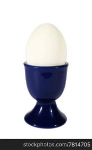 Chicken egg in dark blue support on the white background