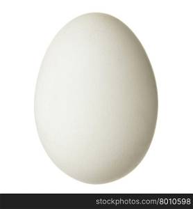 Chicken egg isolated over the white background