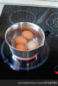 Chicken eggs are cooked in metal pot on electric stove in kitchen