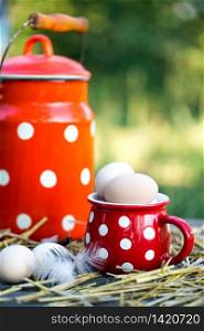 chicken eggs in a big red cup. still life