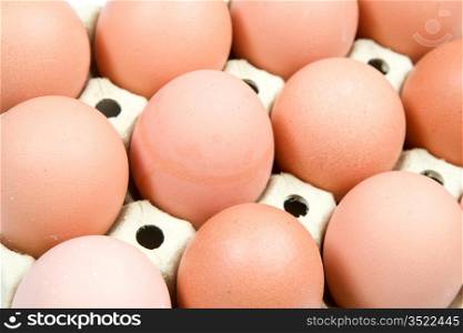 Chicken eggs in a box a over white background