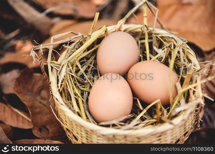 Chicken eggs in basket nest with dry autumn leaves background