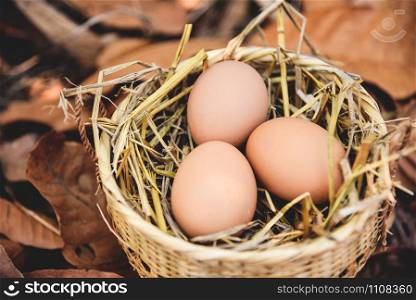 Chicken eggs in basket nest with dry autumn leaves background