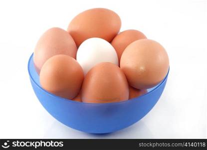 Chicken eggs in blue dish