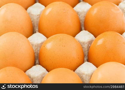 Chicken eggs in the carton