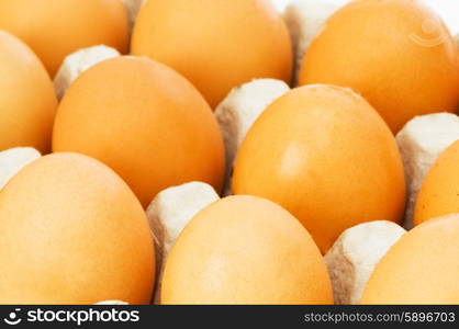 Chicken eggs in the carton