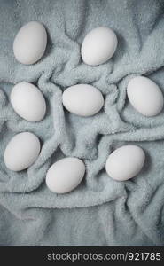 Chicken eggs on a fiber