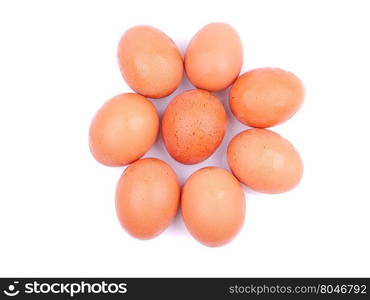 Chicken eggs on a white background