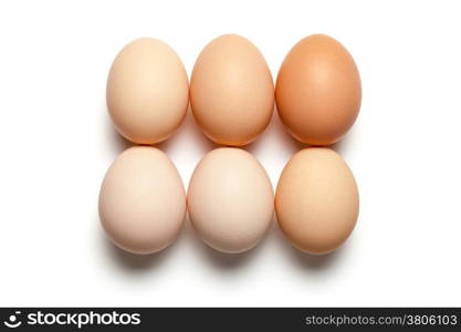 Chicken eggs on white background. Top view