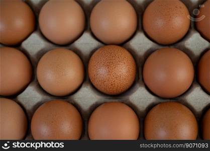 Chicken eggs placed on an egg tray. Close-up.