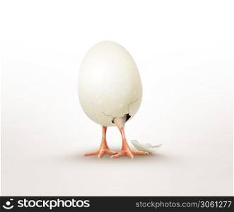 chicken hatched from an egg