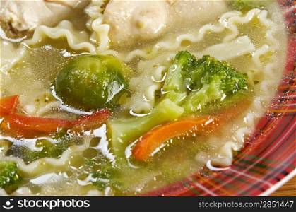 Chicken homemade soup with noodle and vegetables