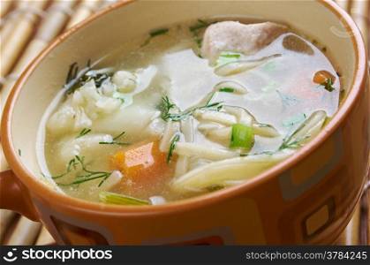 chicken noodle soup - broth. closeup.
