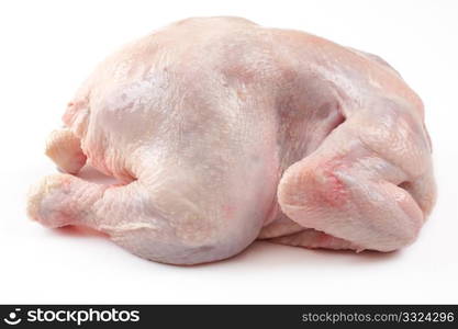 chicken on a white background