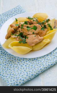 Chicken Stroganoff with mushrooms and noodles. Chicken Stroganoff with mushrooms and noodles on white plate
