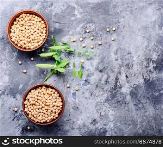 Chickpeas, the basis of vegetarian cuisine. Chickpea-for cooking traditional dishes of Middle Eastern cuisines.Healthy food