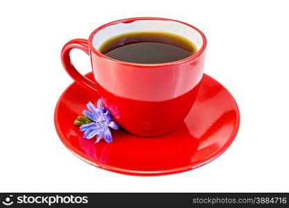 Chicory drink in a red cup with blue chicory flower on a saucer isolated on a white background