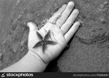 Child&acute;s hand discovering starfish.