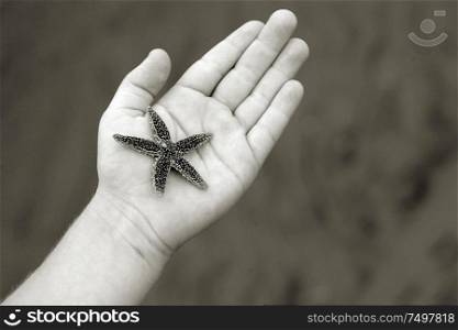 Child&acute;s hand sharing a starfish.